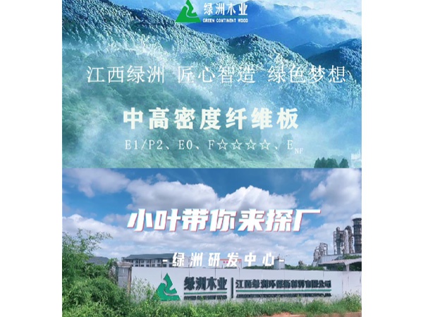 小葉帶你探廠