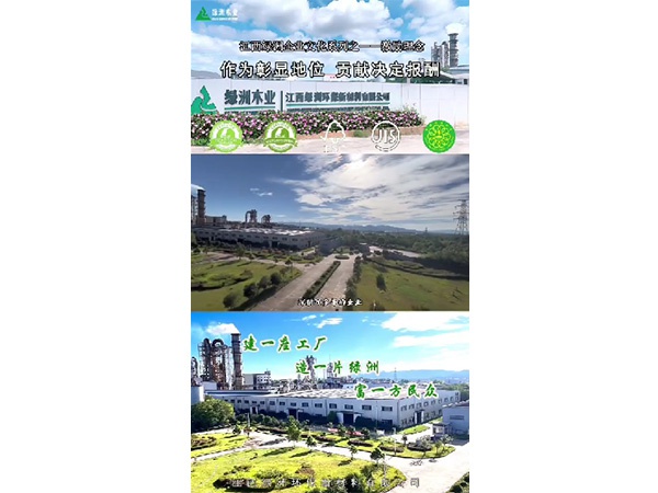 小葉探廠