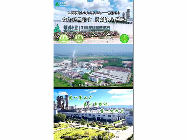 小葉探廠